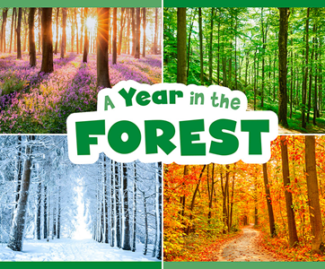 Year in the Forest (Paperback)
