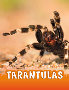 Tarantulas (Paperback)