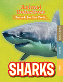 Sharks (Paperback)