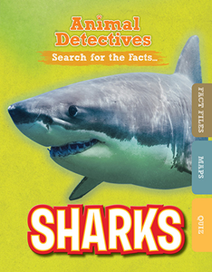 Sharks (Paperback)