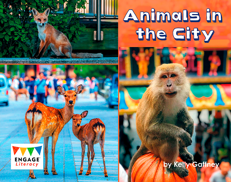 Engage Literacy L17: Animals in the City