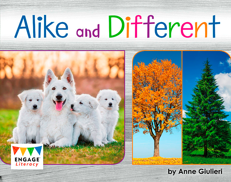 Engage Literacy L14: Alike and Different