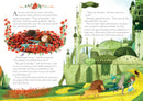 The Wizard of Oz(Usborne English Readers Level 3)