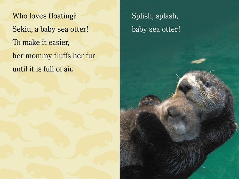 Splish, Splash, ZooBorns!: Ready-to-Read Level 1