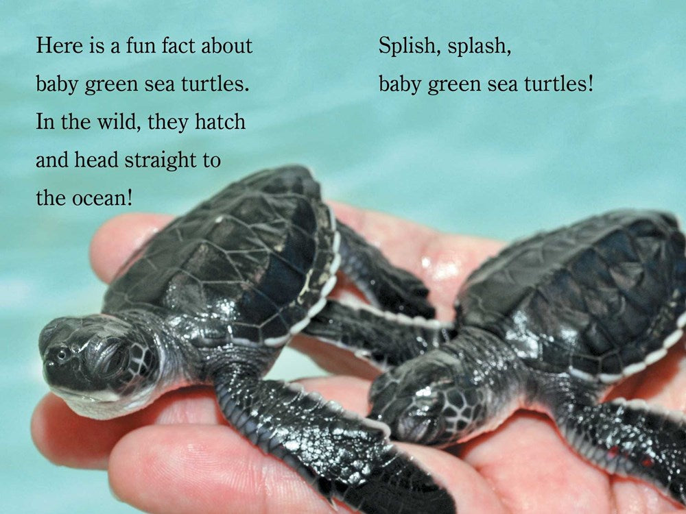 Splish, Splash, ZooBorns!: Ready-to-Read Level 1