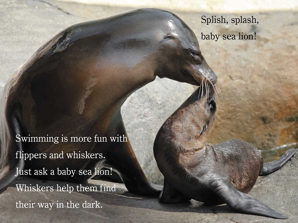Splish, Splash, ZooBorns!: Ready-to-Read Level 1