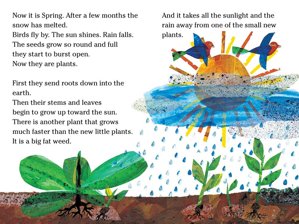 story about seeds growing into plants The Tiny Seed/Ready-to-Read Level 2