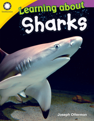 Learning About Sharks (Grade K)