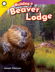 Building a Beaver Lodge (Grade K)