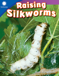 Raising Silkworms (Grade 1)
