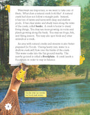 Restoring Muddy Creek (Grade 3)