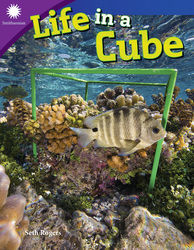 Life in a Cube (Grade 5)