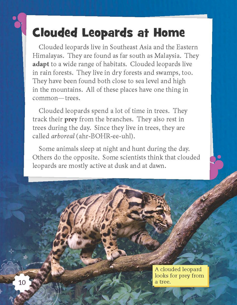 Raising Clouded Leopards (Grade 3)