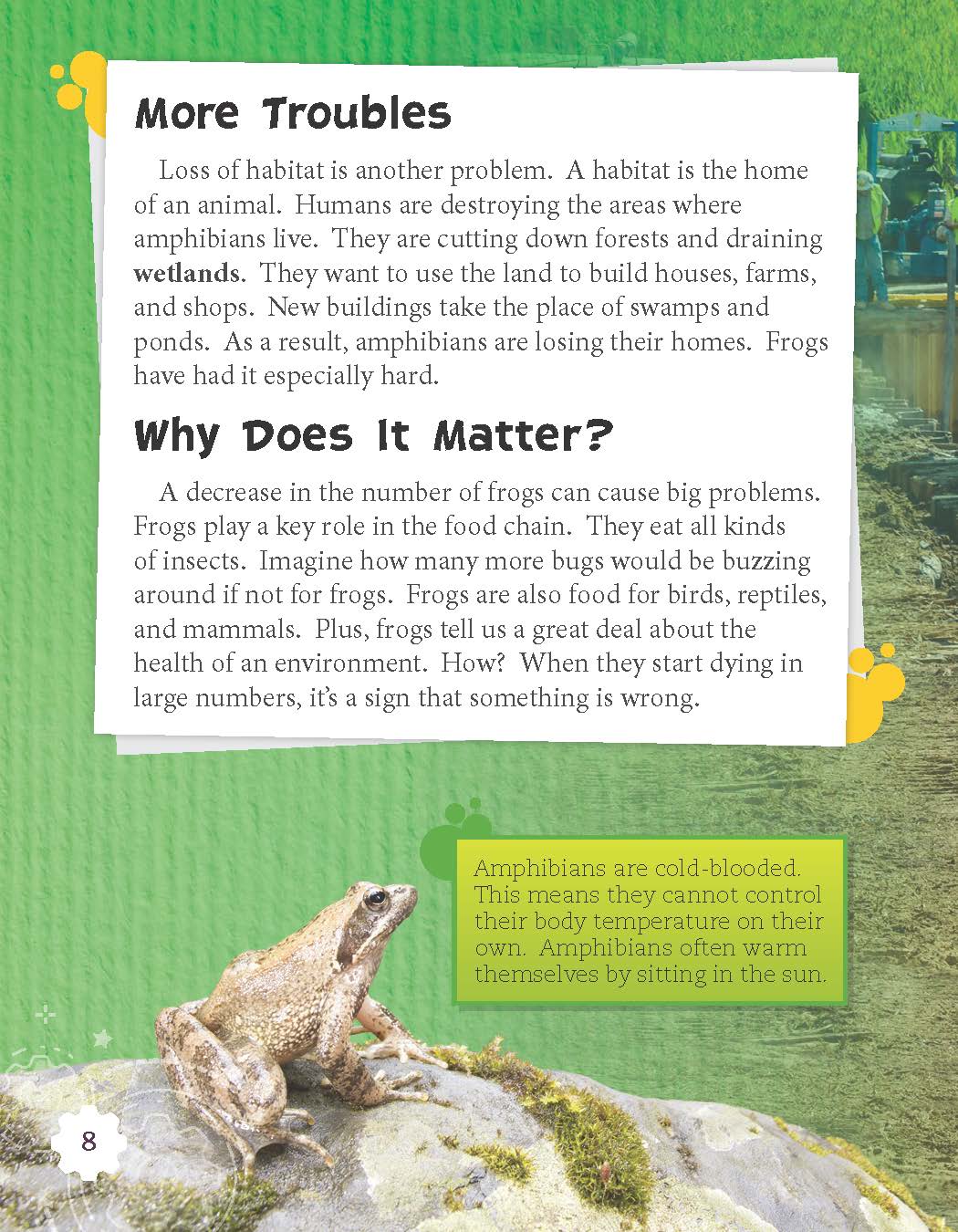 Amphibian Rescue(Grade 3)