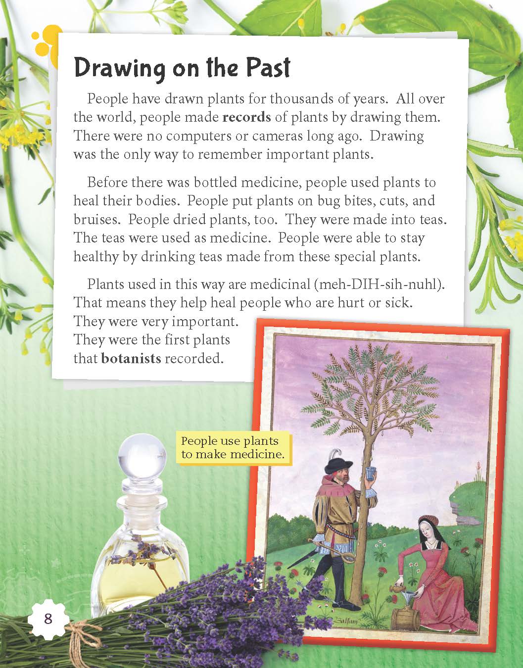 Botanical Illustration (Grade 3)