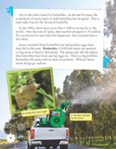 Designing Butterfly Exhibits (Grade 4)