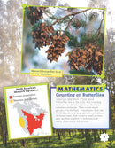 Designing Butterfly Exhibits (Grade 4)