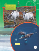 Saving the Arctic (Grade 4)