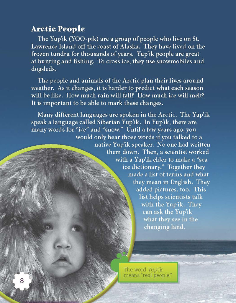 Saving the Arctic (Grade 4)
