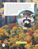 Life in a Cube (Grade 5)