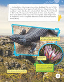 Life in a Cube (Grade 5)