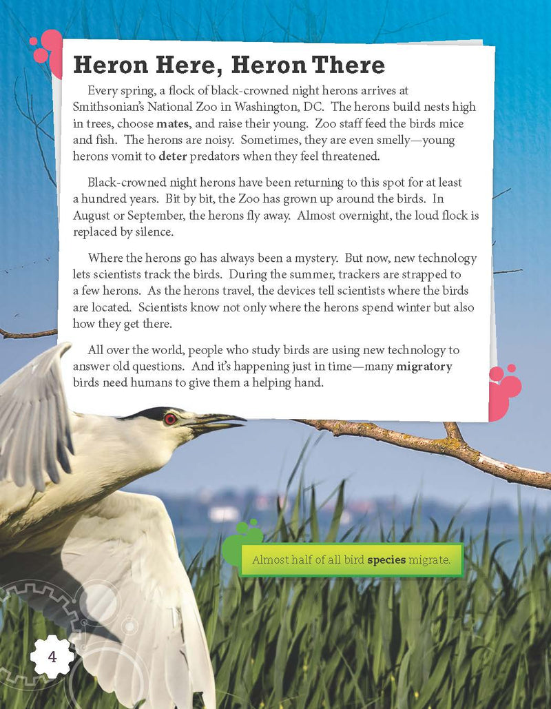 Saving Migratory Birds (Grade 5)