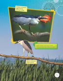 Saving Migratory Birds (Grade 5)