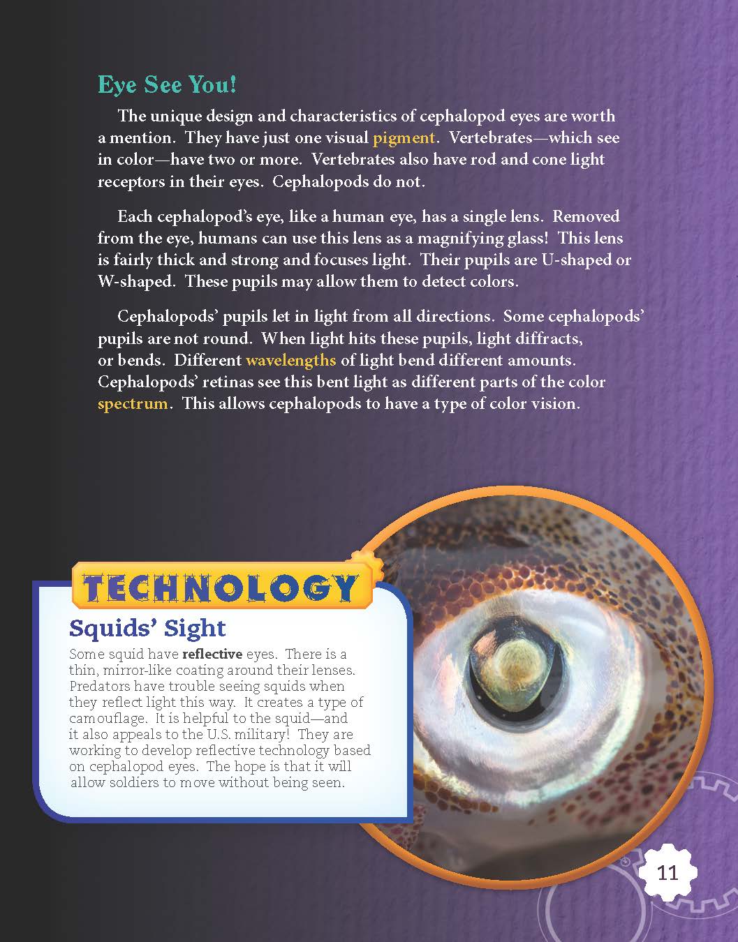 Color-Changing Cephalopods (Grade 5)