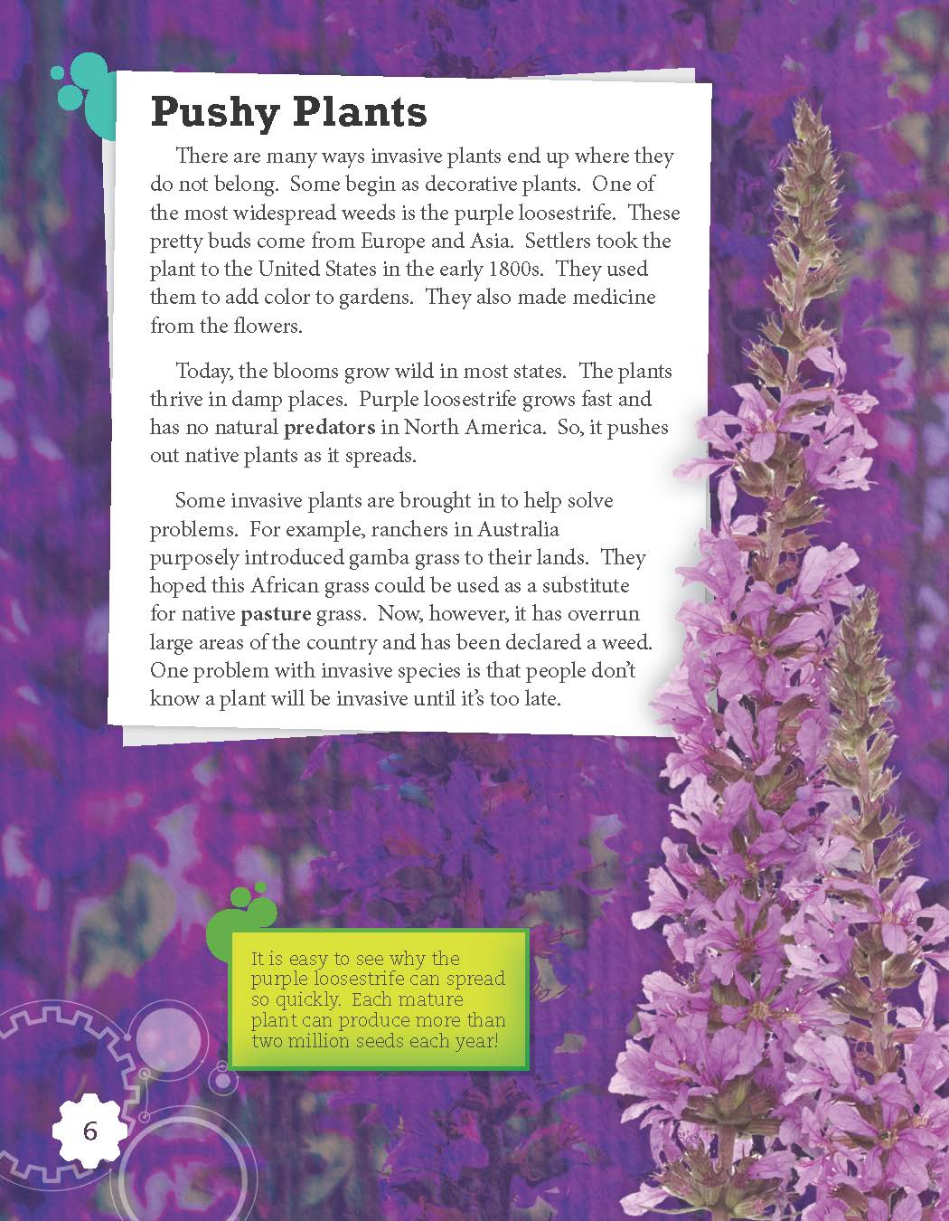 Plant Invaders (Grade 5)