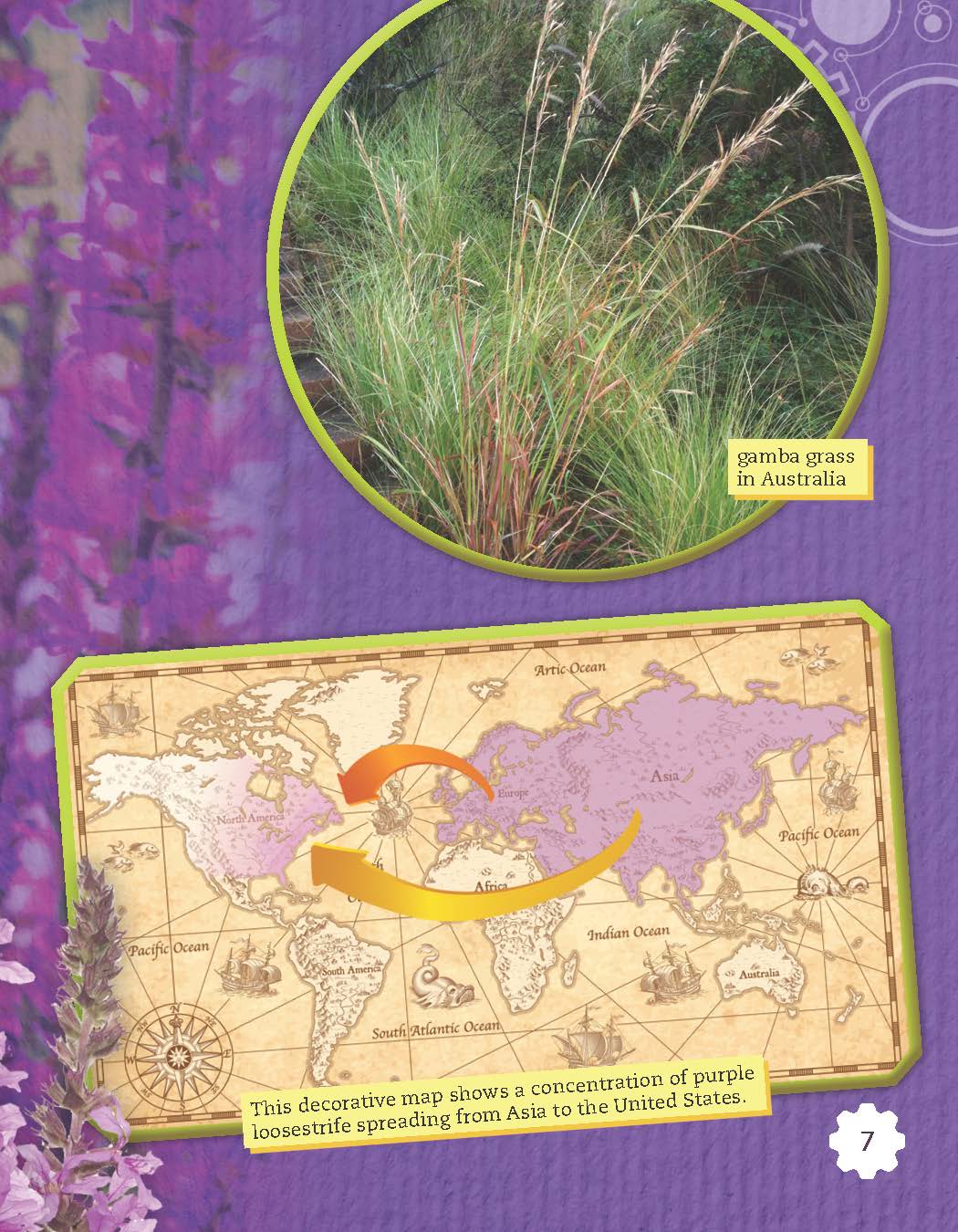 Plant Invaders (Grade 5)