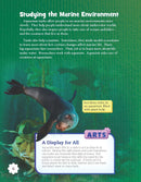 Making an Ocean Ecosystem (Grade 5)