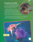 Making an Ocean Ecosystem (Grade 5)