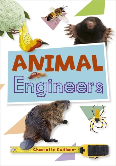 Animal Engineers(Reading Planet KS2 - Stars/Lime book band)