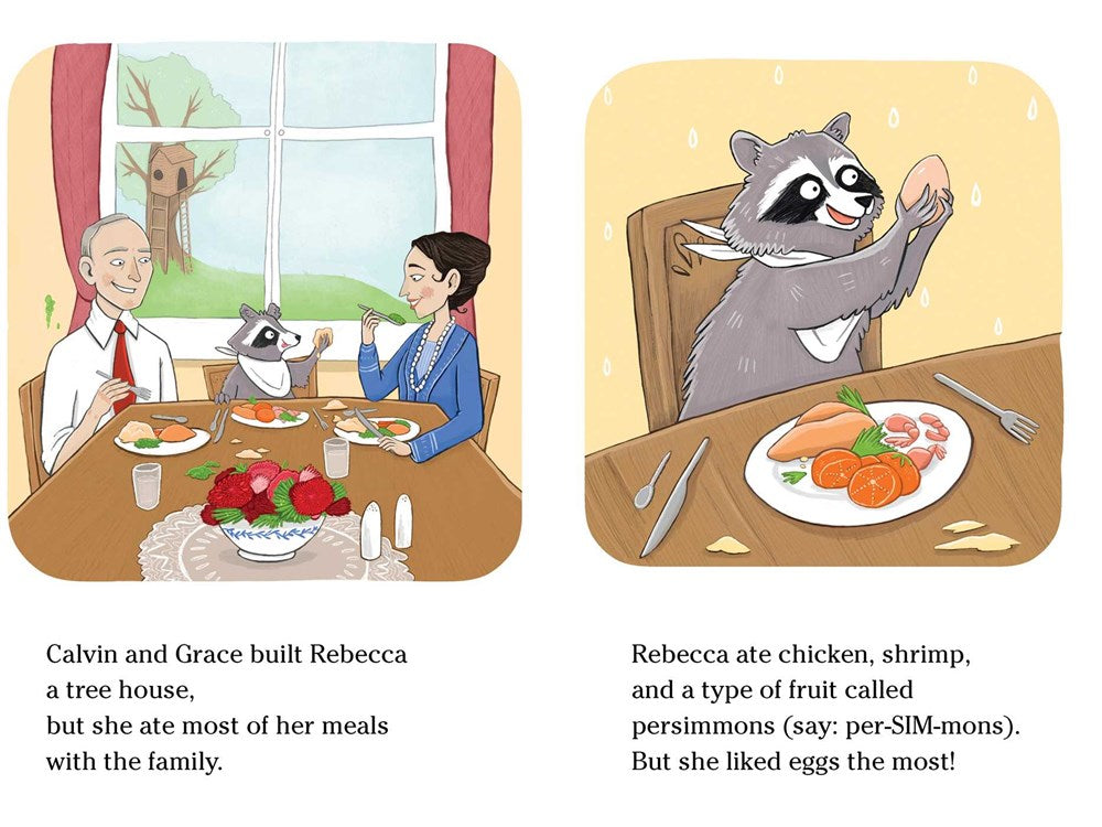 A Raccoon at the White House: Ready-to-Read Level 2