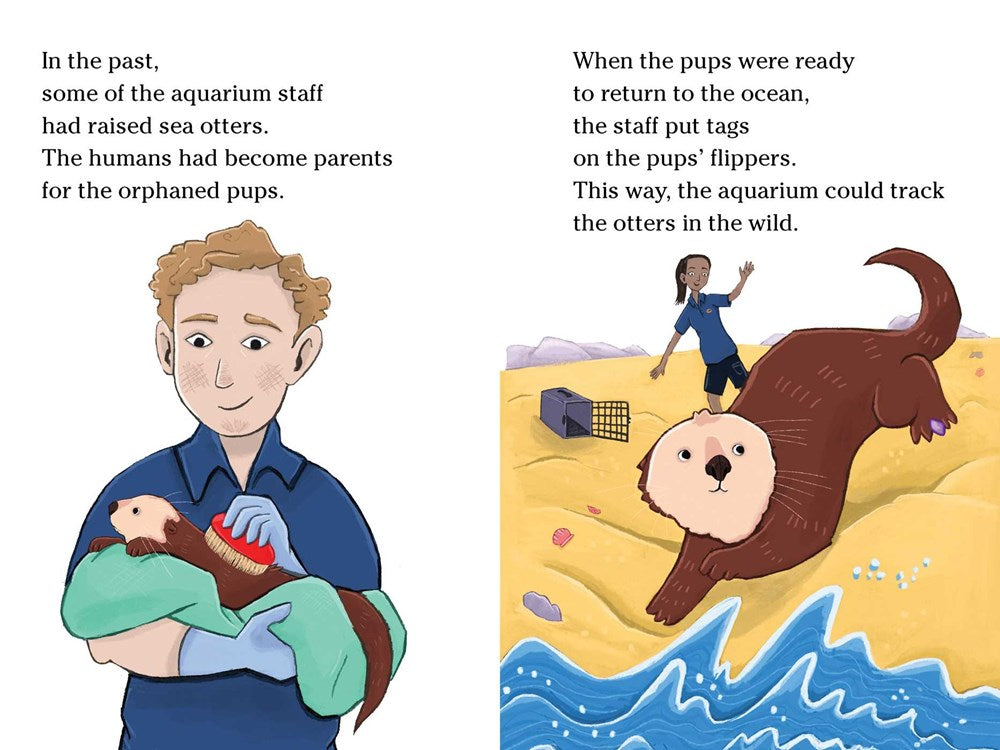 A Sea Otter to the Rescue: Ready-to-Read Level 2