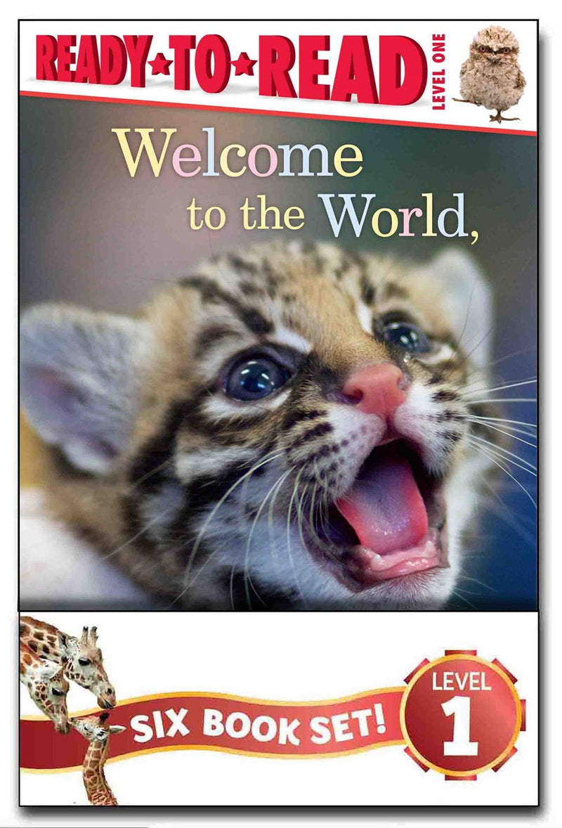 ZooBorns Ready-to-Read Value Pack: Welcome to the World, ZooBorns!; I Love You, ZooBorns!; Hello, Mommy ZooBorns!; Nighty Night, ZooBorns!; Splish, Splash, ZooBorns!; Snuggle Up, ZooBorns!