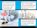 Polar Bear Fur Isn't White!: And Other Amazing Facts (Ready-to-Read Level 2)