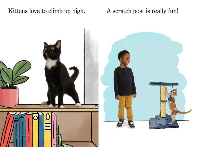 My First Kitten: Ready-to-Read Pre-Level 1