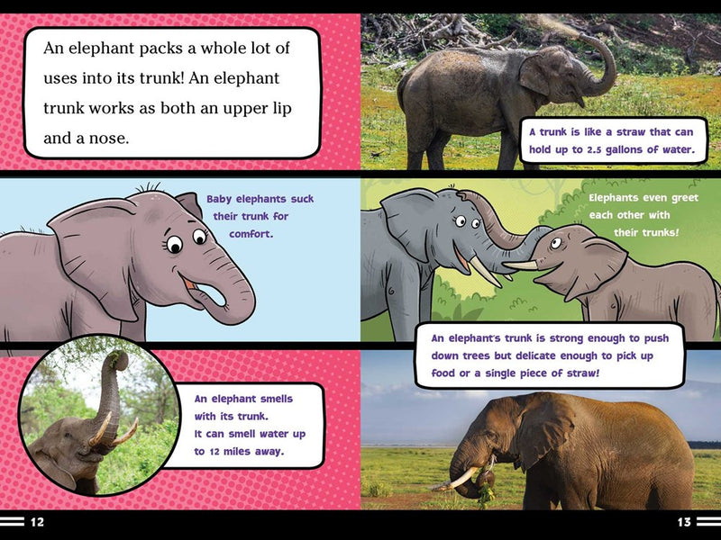 Elephants Don't Like Ants!: And Other Amazing Facts (Ready-to-Read Level 2)