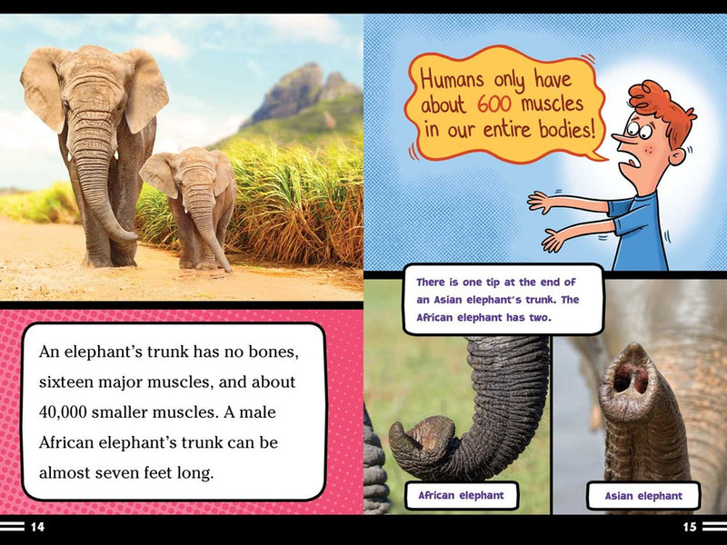Elephants Don't Like Ants!: And Other Amazing Facts (Ready-to-Read Level 2)