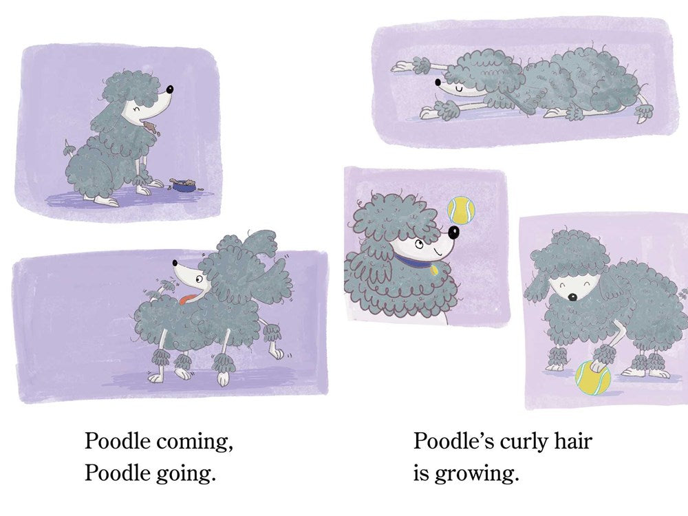 Hairy, Hairy Poodle: Ready-to-Read Level 1