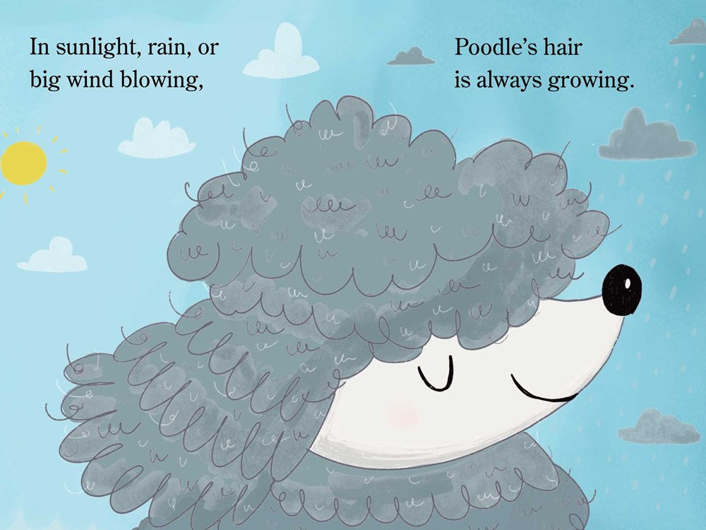 Hairy, Hairy Poodle: Ready-to-Read Level 1