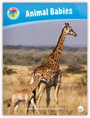 My World: Animal Babies