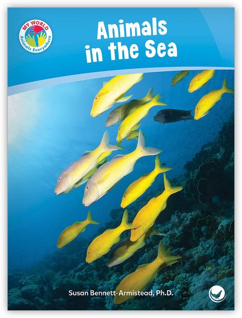 My World: Animals in the Sea