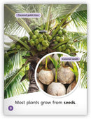 My World: Growing Things Big Book