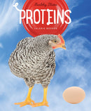 Healthy Plates: Proteins