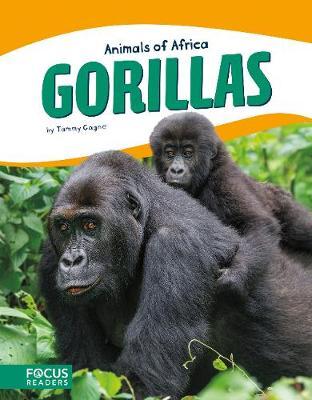 Animals of Africa: Gorillas