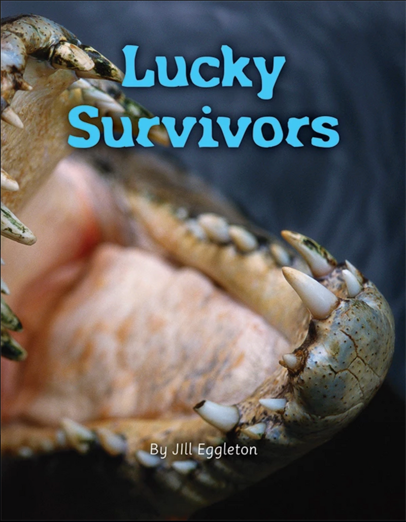 Into Connectors(L21-22): Lucky Survivors