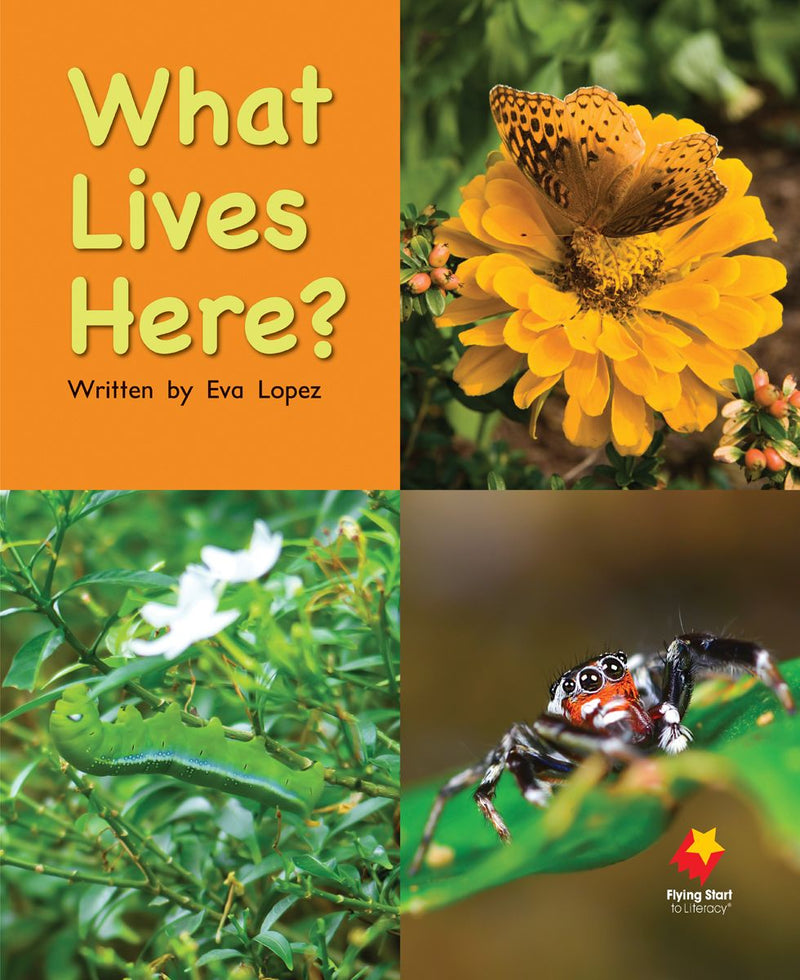 FS Big Book: What Lives Here