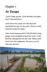 Asian Stories Set 2 - Little Brother (Malaysia) (L19)
